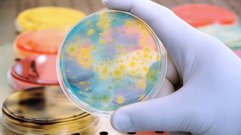 医药生物技术服务外包：揭秘价格背后的考量因素