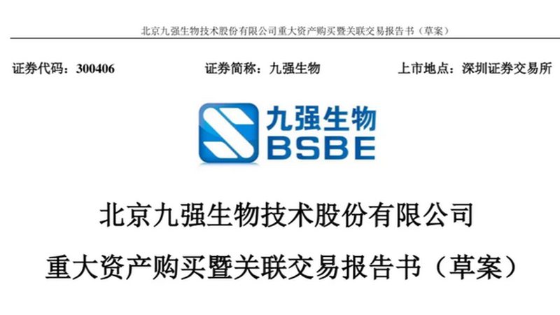 重组抗体表达周期，影响因素全解析**
