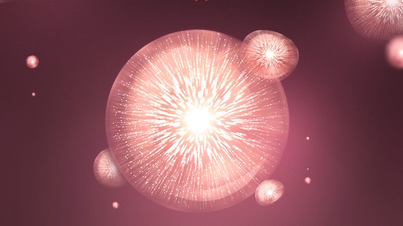 CRO实验设计规范标准：构建高质量生物实验的基石