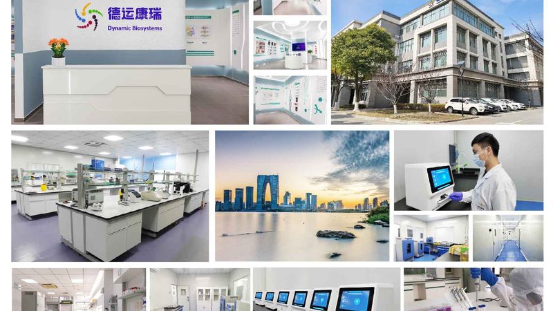 CDMO定制研发合同：揭秘合同要点与关键考量