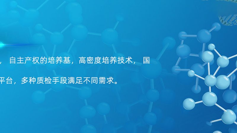 荧光标记引物：合成参数解析与优化**