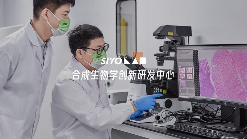 单克隆抗体生产，如何选择合适的公司？**