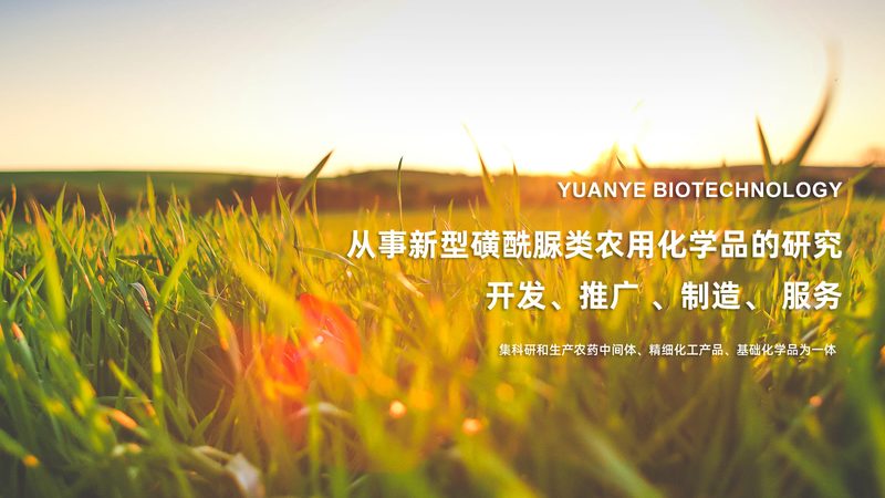 上海抗体药物原液定制：揭秘定制化生产背后的秘密