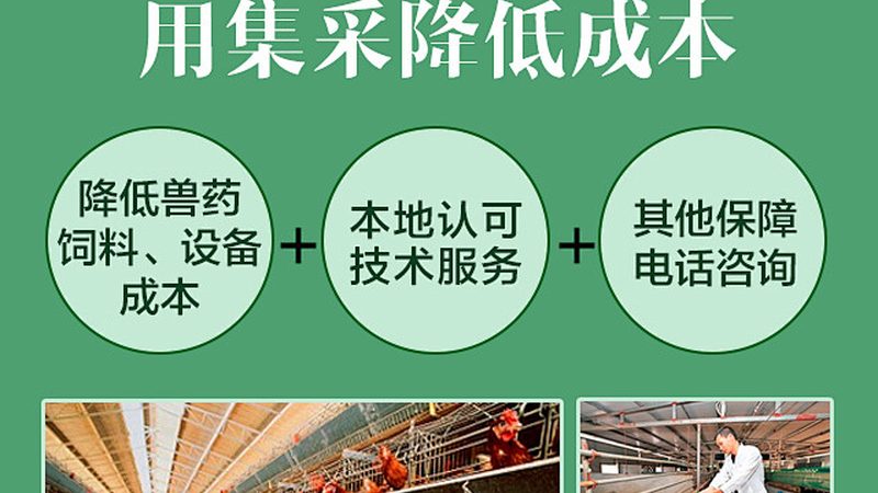 CDMO中试放大生产报价，揭秘背后的考量因素