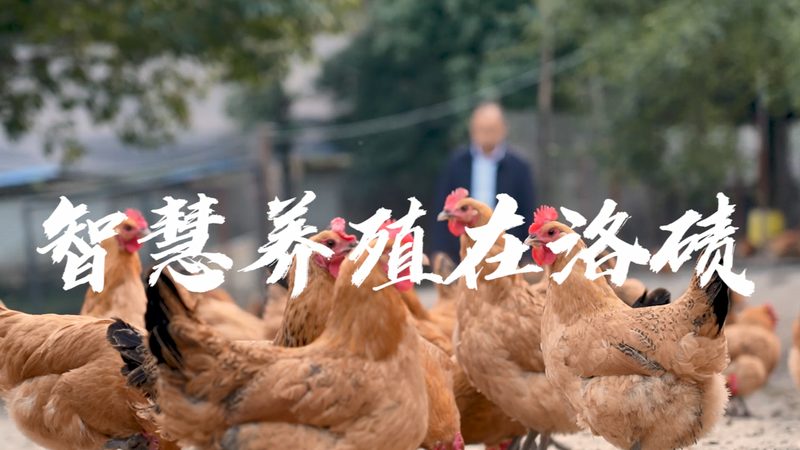 纺织工业酶制剂：规格型号揭秘与选型要点**