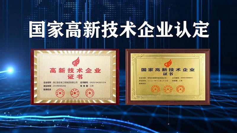 CDMO定制生产代理：揭秘医药研发背后的隐形力量