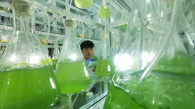 实验室耗材，助力科研之路：揭秘十大品牌背后的技术奥秘